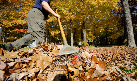 raking leaves clean ups